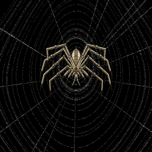 Creation of Spider: Step 16